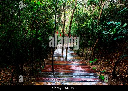 Die Bänder auf den Bäumen auf beiden Seiten einer Holz- Wanderweg in der Dongtian Park, Sanya, Hainan, China Stockfoto