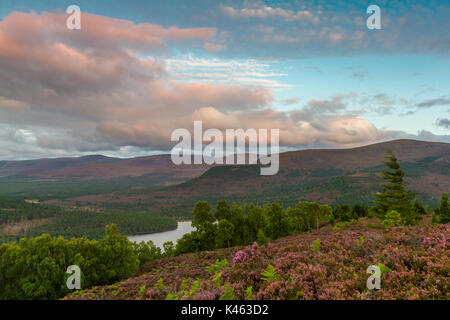 Die Cairngorm Mountains und Loch ein Eilein von Ord Verbot, Rothiemurchus in der Nähe von Aviemore, Schottland, Großbritannien Stockfoto