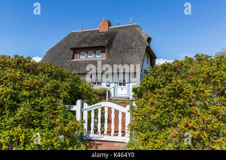 Traditionelle Reetdach Haus in Deutschland Stockfoto