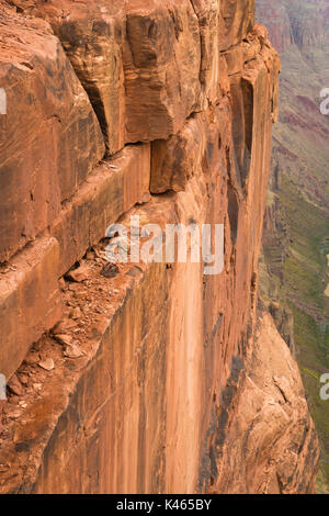 Foto des toroweap übersehen, Nordseite des Colorado River, Grand Canyon National Park, Arizona, USA. Stockfoto