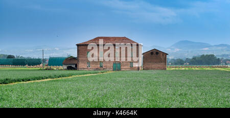 Landschaft in der Nähe von Fidenza (Parma, Emilia-Romagna, Italien) im Sommer. Bauernhof Stockfoto