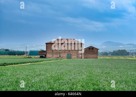 Landschaft in der Nähe von Fidenza (Parma, Emilia-Romagna, Italien) im Sommer. Bauernhof Stockfoto