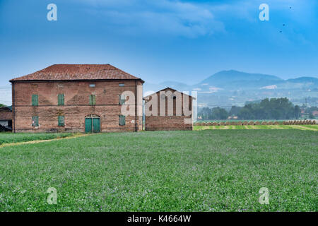 Landschaft in der Nähe von Fidenza (Parma, Emilia-Romagna, Italien) im Sommer. Bauernhof Stockfoto