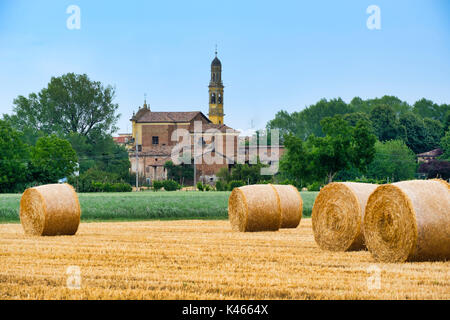 Landschaft in der Nähe von Fidenza (Parma, Emilia-Romagna, Italien) im Sommer. Bauernhof mit der Stadt Parola im Hintergrund Stockfoto