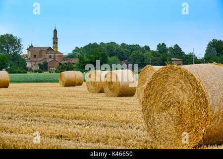 Landschaft in der Nähe von Fidenza (Parma, Emilia-Romagna, Italien) im Sommer. Bauernhof mit der Stadt Parola im Hintergrund Stockfoto