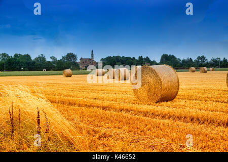 Landschaft in der Nähe von Fidenza (Parma, Emilia-Romagna, Italien) im Sommer. Bauernhof mit der Stadt Parola im Hintergrund Stockfoto