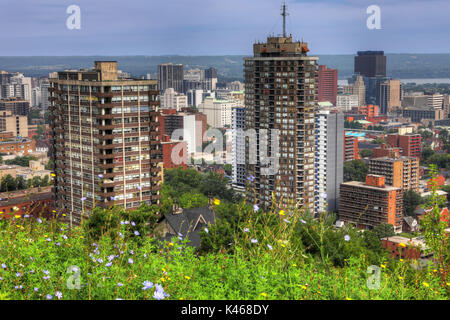 Das Hamilton, Kanada Skyline mit Wildblumen in Vordergrund Stockfoto