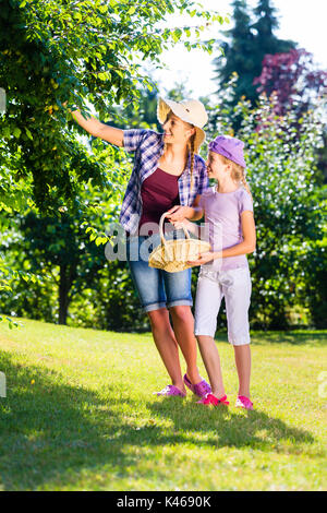 Mutter und Kind ernten Äpfel vom Baum Stockfoto