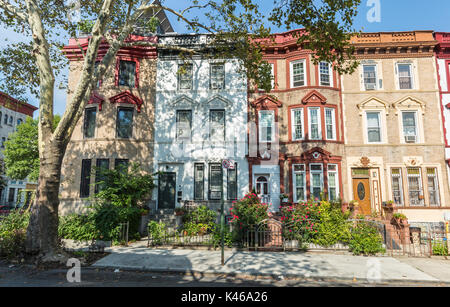 Eine Reihe von historischen Ziegelstein Wohnhäuser auf st. franziskus Platz in der Krone Höhen Nachbarschaft von Brooklyn, New York Stockfoto