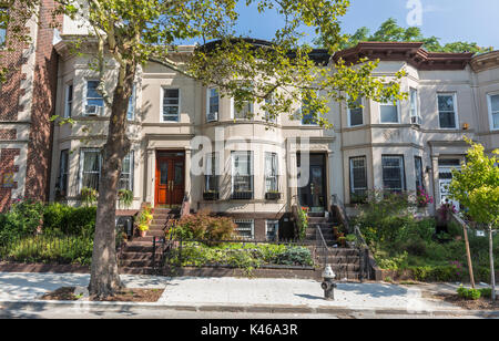 Eine Reihe von browstone Wohnanlage auf der Union Street in der Krone Höhen Nachbarschaft von Brooklyn, New York Stockfoto