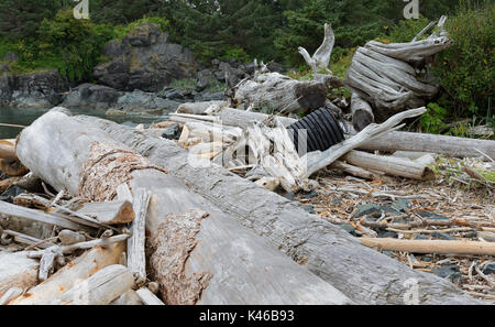 Große schwarze Kunststoff Rohr am Strand im Nootka Sound, Vancouver Island. V. Chr. Kanada Stockfoto