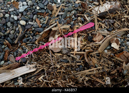 Große schwarze Kunststoff Rohr am Strand im Nootka Sound, Vancouver Island. V. Chr. Kanada Stockfoto