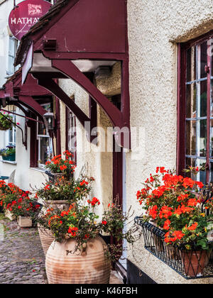 Eine hisoric altes Haus, jetzt ein Italienisches Restaurant, in Casole d'Elsa in der Nähe von Minehead, Somerset. Stockfoto