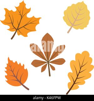 Herbstliche Blätter Skizze Sammlung Stock Vektor