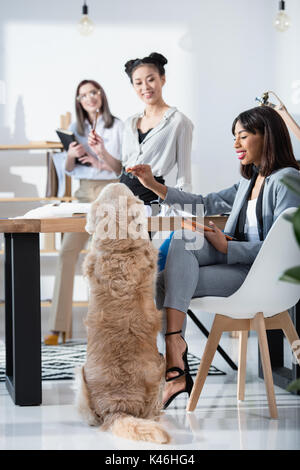 Jungen multiethnischen Frauen in formale Abnutzung im Büro arbeiten mit Hund Stockfoto