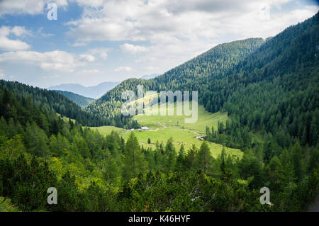 Almen in den Julischen Alpen. Stockfoto