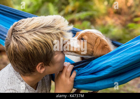 Zwei Monate alten Brittany Spaniel 'Archie' in einer Hängematte ausruhen, lecken ein elf Jahre alter Junge, ein zehn Jahre altes Mädchen Uhren in Issaquah, Washington, Stockfoto