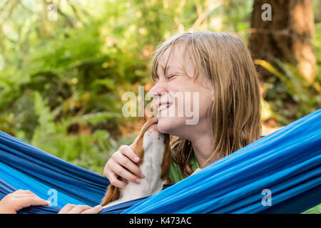 Zwei Monate alten Brittany Spaniel 'Archie' ruht in einer Hängematte, leckte sich die zehn Jahre alten Mädchen Besitzers, in Issaquah, Washington, USA Stockfoto