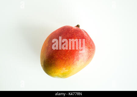 Eine Mango isoliert auf weißem Stockfoto
