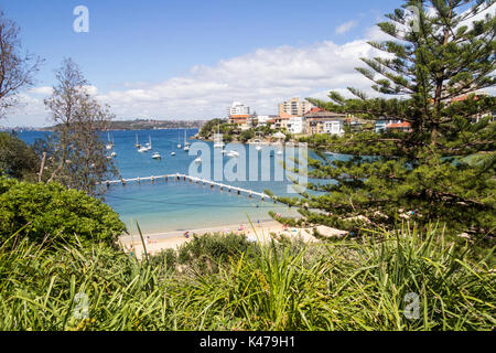 Blick auf den Strand und den Hafen, Little Manly, Sydney, New South Wales, NSW, Australien Stockfoto