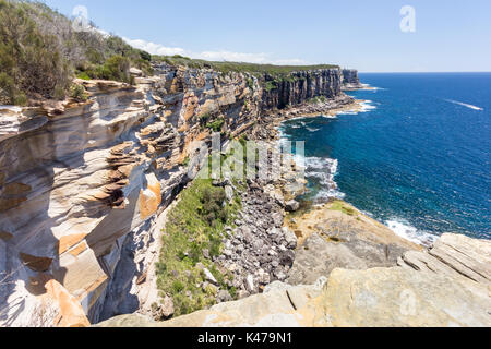 Die zerklüftete Küstenlinie, North Point, Manly, Sydney, New South Wales, NSW, Australien Stockfoto