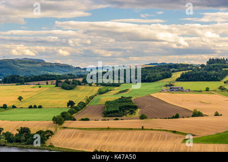 Schöne Sicht auf die Landschaft in der Nähe von Perth in Schottland im Sommer. Stockfoto