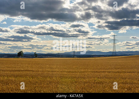 Schöne Sicht auf die Landschaft in der Nähe von Perth in Schottland im Sommer. Stockfoto