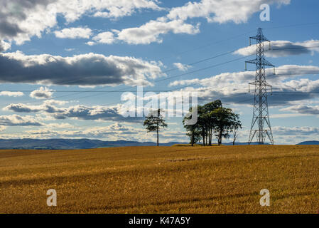 Schöne Sicht auf die Landschaft in der Nähe von Perth in Schottland im Sommer. Stockfoto