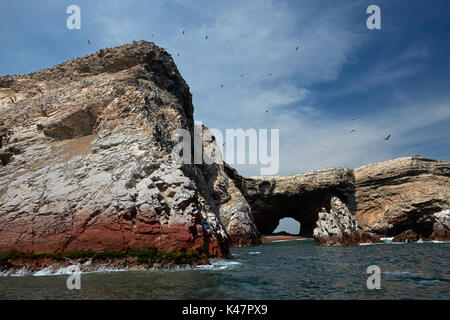 Seevögel und Meer Höhle, Ballestas Inseln, Pisco Provinz, ICA-Region, Peru, Südamerika Stockfoto