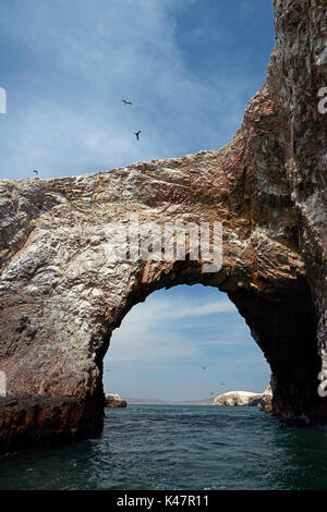 Meer Höhle, Ballestas Inseln, Pisco Provinz, ICA-Region, Peru, Südamerika Stockfoto