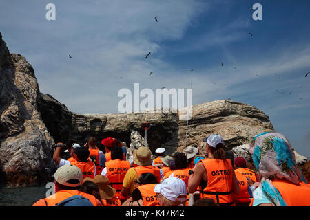 Touristen, die auf der Suche nach Meer Vögel auf Ballestas Inseln Tour, Pisco Provinz, ICA-Region, Peru, Südamerika Stockfoto