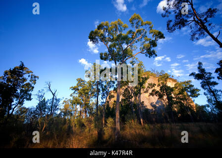 Mt Moffatt Nationalpark Stockfoto