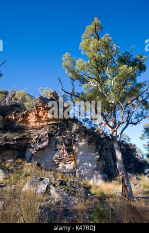Mt Moffatt Nationalpark Stockfoto