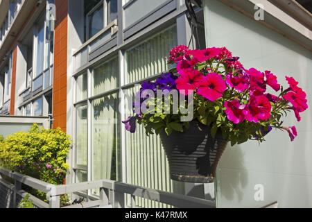 Blumenvase an der Ecke Wohngebiet Condo Gebäude im ehemaligen Olympischen Dorf in der Nähe von False Creek Seawall in Vancouver, British Columbia Kanada Stockfoto