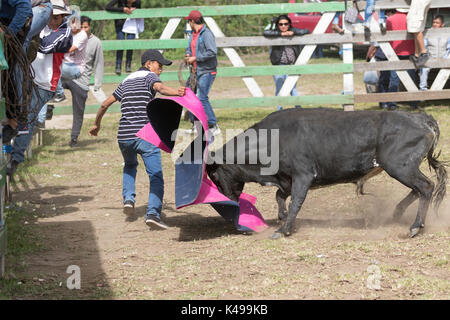 28. Mai 2017 Sangolqui, Ecuador: Mann, der ein Kap eines Stiers bei einem ländlichen Amateur-Stierkampf in den Anden hochhält Stockfoto