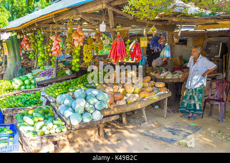 KUDA OYA, SRI LANKA - Dezember 2, 2016: Der alte Kaufmann im strassenrand Stall bietet Vielfalt an Gemüse und Obst zu Reisenden, am 2. Dezember in Kuda Stockfoto