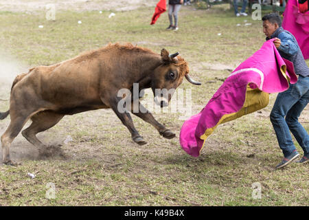 28. Mai 2017 Sangolqui, Ecuador: Mann, der ein Kap eines Stiers bei einem ländlichen Amateur-Stierkampf in den Anden hochhält Stockfoto