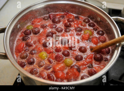 Früh kochen rote und weiße Stachelbeeren, Erdbeeren und Zucker in einer Pfanne hausgemachtes gemischtes Obst Marmelade zu machen. Stockfoto