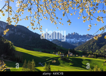 Blühende Rahmen das Dorf St. Magdalena und der Geisler-Gruppe. Villnösser Tal Südtirol Dolomiten Italien Europa Stockfoto