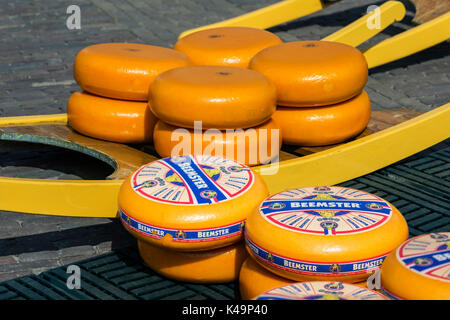 Umläufe des Niederländischen Beemster Käse, Käsemarkt von Alkmaar, Niederlande Stockfoto