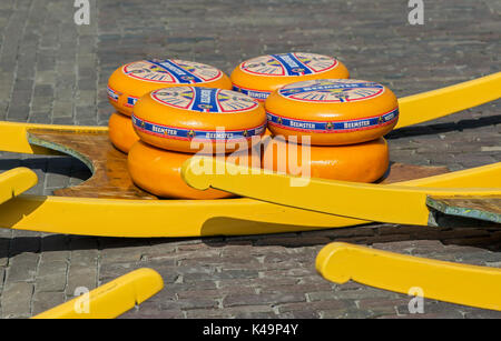 Umläufe des Niederländischen Beemster Käse Räder auf dem Käsemarkt von Alkmaar, Niederlande Stockfoto