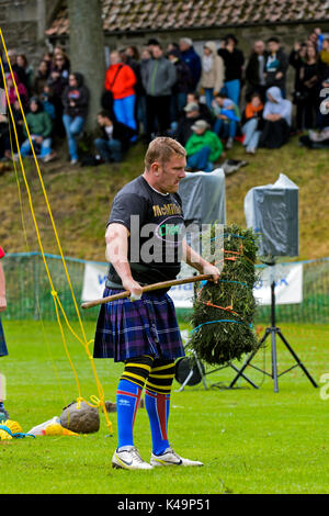 Schottische Mann die Teilnahme an der traditionellen Garbe Pitch Wettbewerb, Ceres Highland Games, Ceres, Schottland, Vereinigtes Königreich Stockfoto