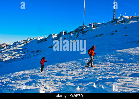 Schneeschuhwandern im La Dole Peak, Jura, Saint, Cergue, Waadt, Schweiz Stockfoto