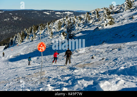 Schneeschuhwandern auf den Weg zum La Dole Peak, Jura, Saint, Cergue, Waadt, Schweiz Stockfoto