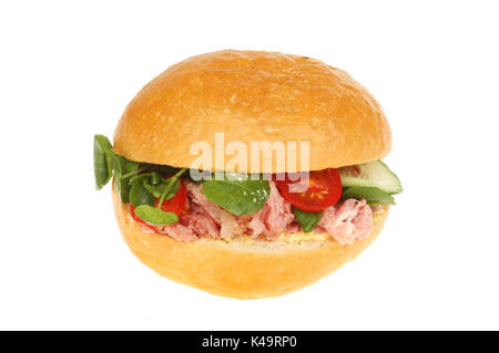 Schweinefleisch und Salat in einem knusprigen Brötchen gegen Weiße isoliert gezogen Stockfoto