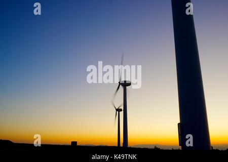 Windmühlen zur Stromerzeugung, La Muela, Zaragoza Provinz, Aragon, Spanien. Stockfoto