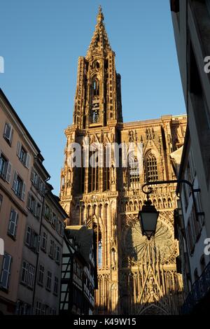 Kathedrale in Straßburg, Elsass, Frankreich. Stockfoto