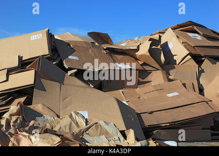 Recycling Unternehmen, Altpapier, Karton, Recyclingbetrieb, Lager Altpapier tätig, Kartons Stockfoto