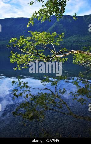 Der See statt. Malerische Bergseen mit kristallklarem Wasser. Washington State, USA. Stockfoto