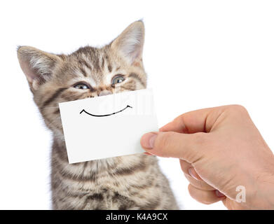 Lustige glückliche junge Katze Portrait mit Lächeln auf Karton isoliert auf weißem Stockfoto